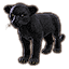 Black Senche-Panther Kitten icon